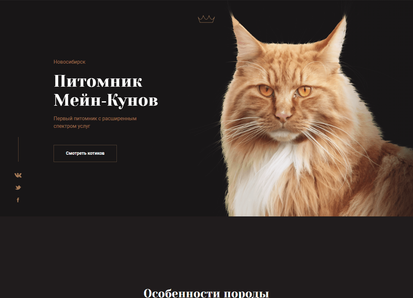 "Maine Coon cattery"